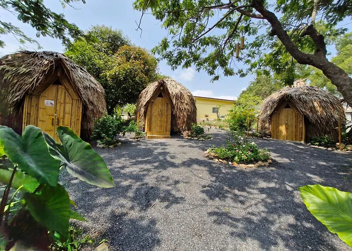 Samui Circus Studio Ville Deluxe Hut Bungalow 1