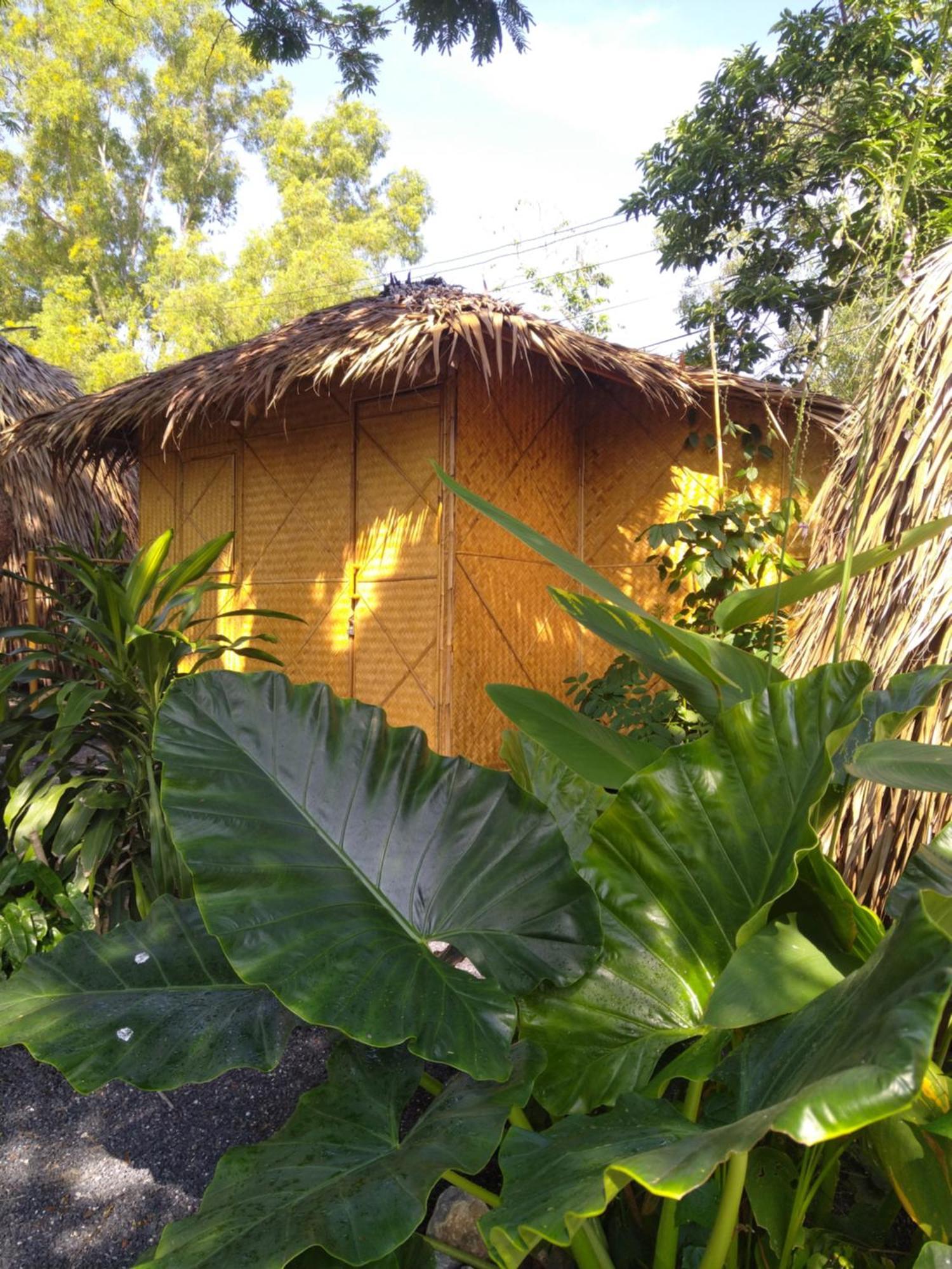 Samui Circus Deluxe Hut 1 Koh Samui