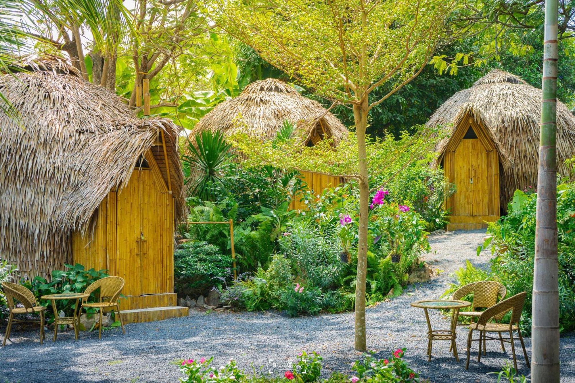 Samui Circus Deluxe Hut 1